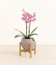 Load image into Gallery viewer, Winter Clouds stand:bamboo