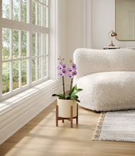 Load image into Gallery viewer, Cream stand:walnut