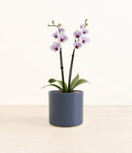 Load image into Gallery viewer, Deep Navy*****Profile