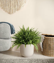 Lade das Bild in den Galerie-Viewer, Natural Bamboo