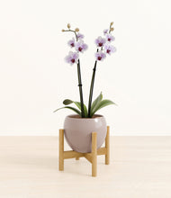 Load image into Gallery viewer, Winter Clouds stand:bamboo