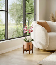 Load image into Gallery viewer, Calm Rose stand:walnut