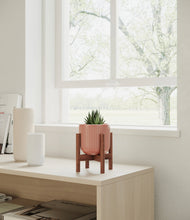 Load image into Gallery viewer, Striped Rose Pink stand:walnut