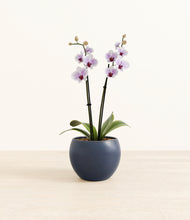 Load image into Gallery viewer, Deep Navy*****Profile