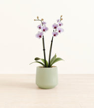 Load image into Gallery viewer, Turquoise*****Profile