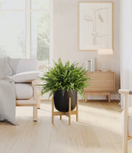 Lade das Bild in den Galerie-Viewer, Stone Black stand:light