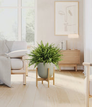 Lade das Bild in den Galerie-Viewer, Sage Green stand:light
