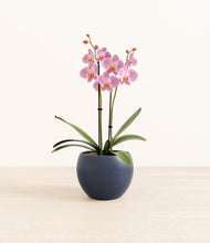 Load image into Gallery viewer, Deep Navy*****Profile