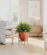 Lade das Bild in den Galerie-Viewer, Earth Red stand:light