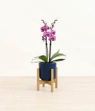 Load image into Gallery viewer, Twilight Blue stand:bamboo