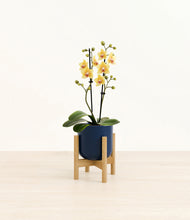 Load image into Gallery viewer, Twilight Blue stand:bamboo