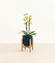 Load image into Gallery viewer, Twilight Blue stand:bamboo