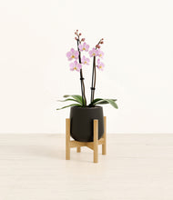 Load image into Gallery viewer, Black stand:bamboo
