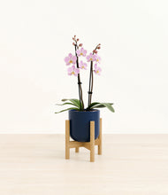 Load image into Gallery viewer, Twilight Blue stand:bamboo