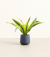 Load image into Gallery viewer, Deep Navy*****Profile
