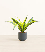 Load image into Gallery viewer, Iron Gray*****Profile