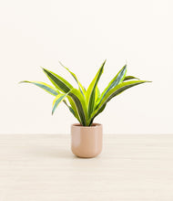 Load image into Gallery viewer, Glossy Pink*****Profile
