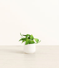 Load image into Gallery viewer, White*****Profile