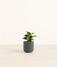 Load image into Gallery viewer, Iron Gray*****Profile