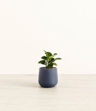 Load image into Gallery viewer, Deep Navy*****Profile