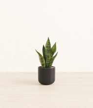 Load image into Gallery viewer, Stone Black*****Profile