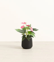 Load image into Gallery viewer, Black*****Profile