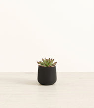 Load image into Gallery viewer, Black*****Profile