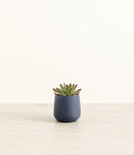 Load image into Gallery viewer, Deep Navy*****Profile