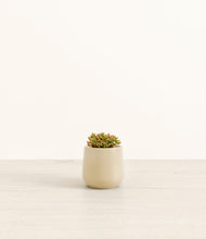 Load image into Gallery viewer, Almond Green*****Profile