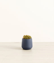 Load image into Gallery viewer, Deep Navy*****Profile