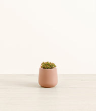 Load image into Gallery viewer, Calm Rose*****Profile