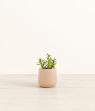 Load image into Gallery viewer, Gentle Pink*****Profile