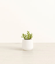 Load image into Gallery viewer, White*****Profile