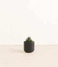 Load image into Gallery viewer, Stone Black*****Profile