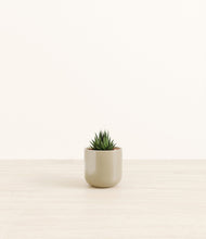 Load image into Gallery viewer, Sage Green*****Profile