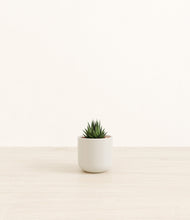 Load image into Gallery viewer, Cotton White*****Profile