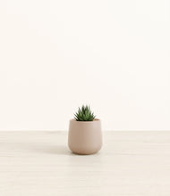 Load image into Gallery viewer, Eternal Gray*****Profile