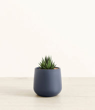 Load image into Gallery viewer, Deep Navy*****Succulent