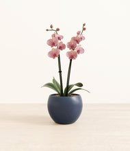 Load image into Gallery viewer, Deep Navy*****Profile