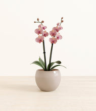 Load image into Gallery viewer, Desert Brown*****Profile