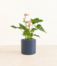 Load image into Gallery viewer, Deep Navy*****Profile