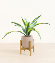 Lade das Bild in den Galerie-Viewer, Eternal Gray stand:bamboo