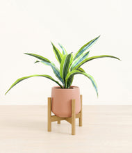 Lade das Bild in den Galerie-Viewer, Calm Rose stand:bamboo