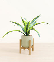 Lade das Bild in den Galerie-Viewer, Turquoise stand:bamboo