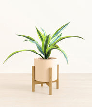 Lade das Bild in den Galerie-Viewer, Cream stand:bamboo