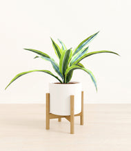 Lade das Bild in den Galerie-Viewer, White stand:bamboo