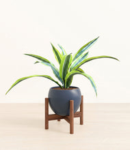 Lade das Bild in den Galerie-Viewer, Deep Navy stand:walnut