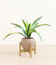 Lade das Bild in den Galerie-Viewer, Desert Brown stand:bamboo