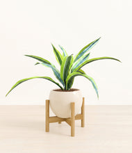 Lade das Bild in den Galerie-Viewer, Shiny EggWhite stand:bamboo