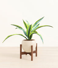 Lade das Bild in den Galerie-Viewer, Shiny EggWhite stand:walnut